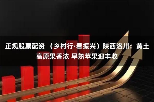 正规股票配资 （乡村行·看振兴）陕西洛川：黄土高原果香浓 早熟苹果迎丰收