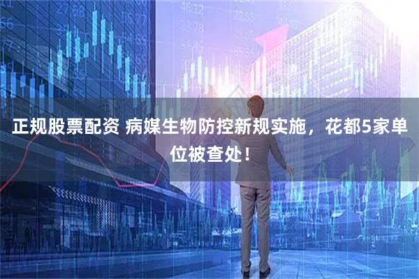 正规股票配资 病媒生物防控新规实施，花都5家单位被查处！